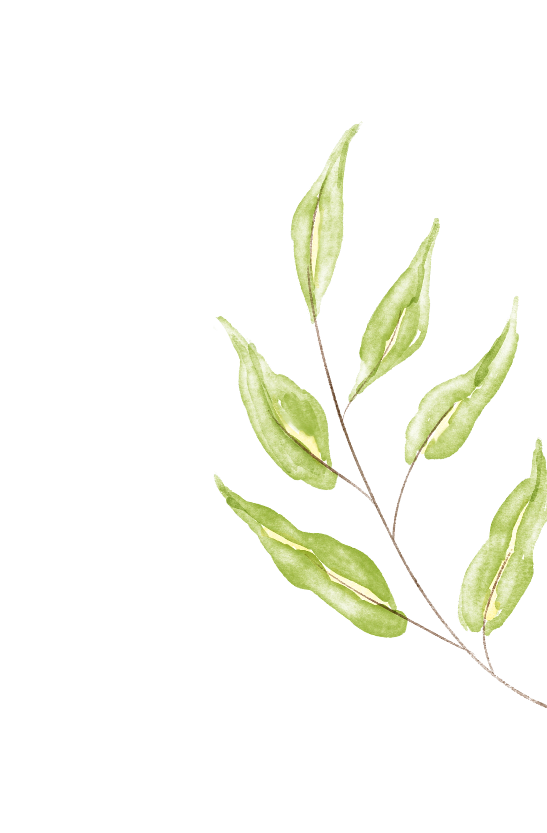Folhagem decorativa